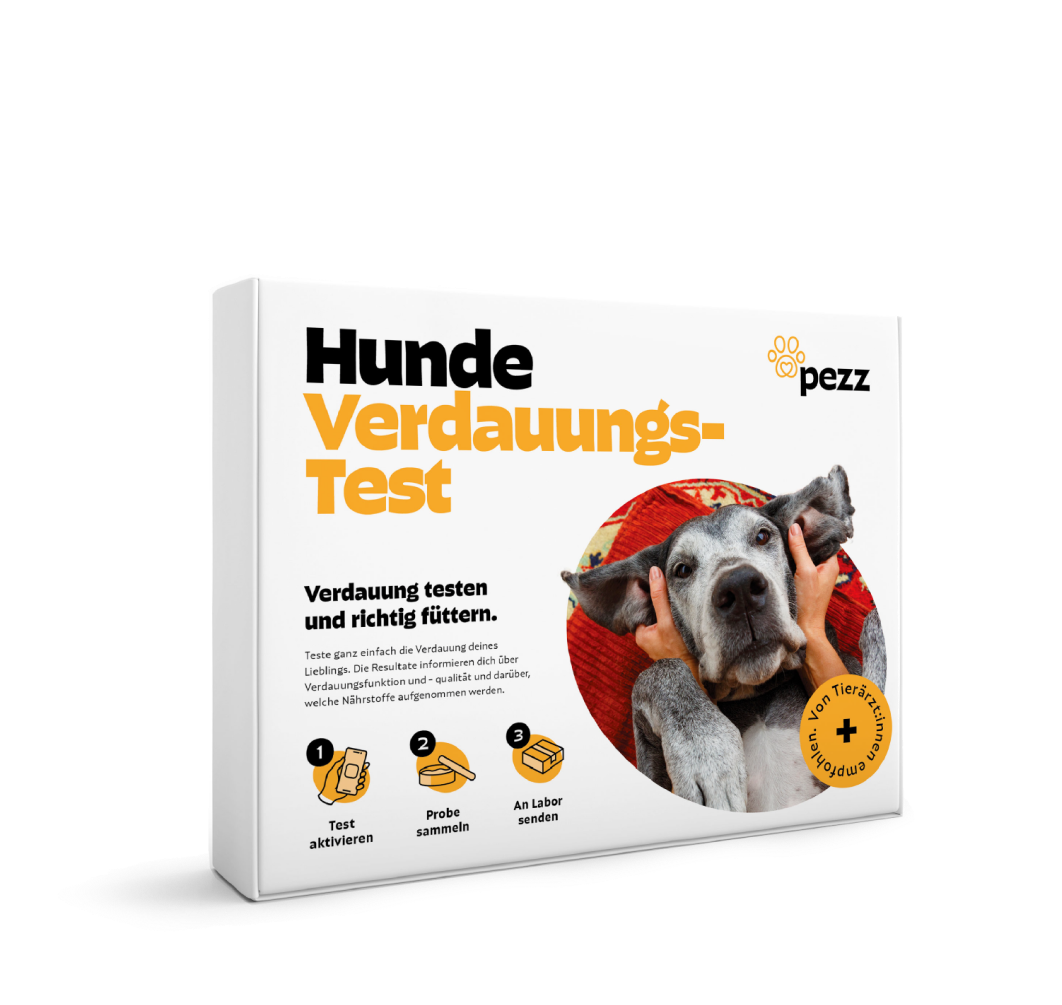 Balunos Package Gold