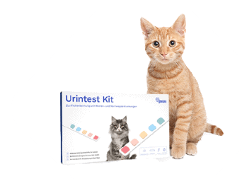 Pezz life | Urintest Kit
